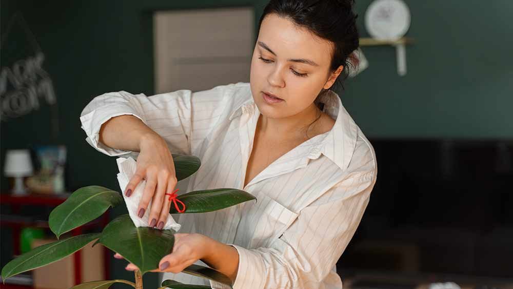 Practicing Self-Care Techniques
