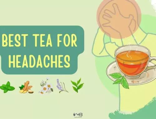 Best Teas for Headache: Types, Benefits and Ingredients!
