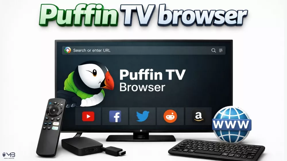 Puffin TV Browser on Android TV